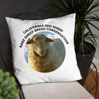 California Red Sheep Rare Sheep Breed Conservation Basic Pillow